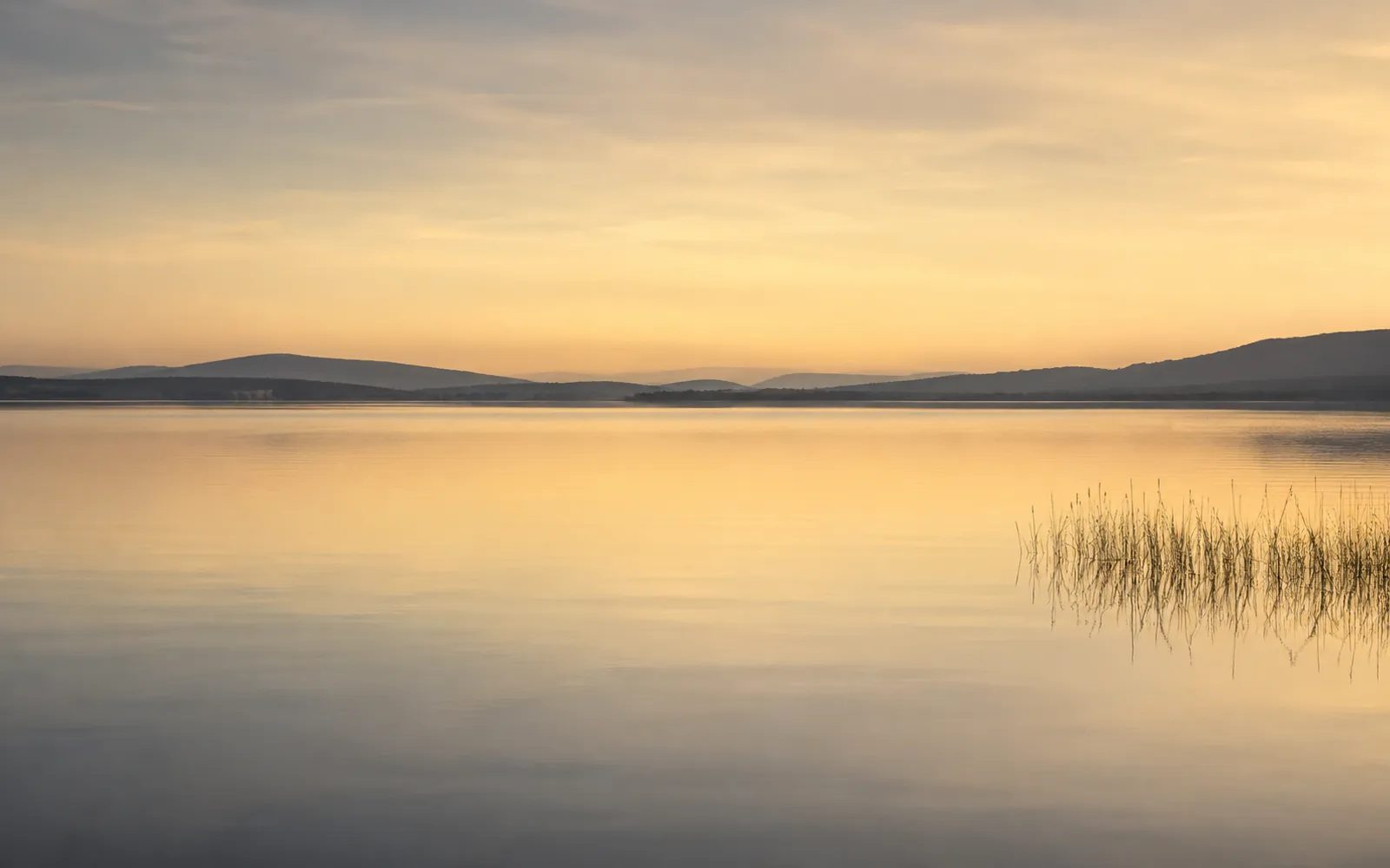 Un paysage apaisé au crépuscule au bord de l'eau
